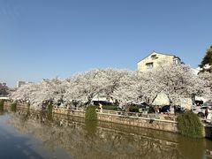 -常熟方塔园
