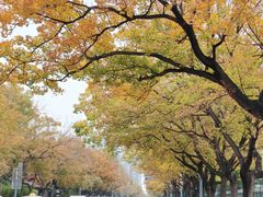 -中央广播电视总台(光华路办公区)