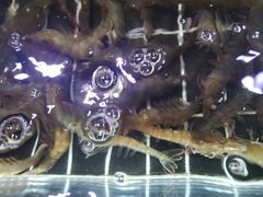 -聚盛源蒸汽海鲜火锅烤肉自助(巨川金海岸购物广场店)