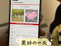 -海底捞火锅(崇文门新世界百货店)