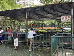 -上海共青森林公园