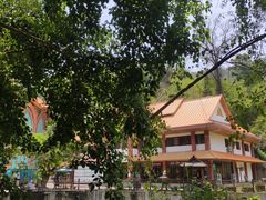 -西双版纳原始森林公园