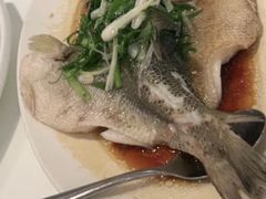 -至潮餐厅精致粤菜·活鲈鱼·走地鸡(珠江新城店)