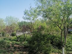 -绿岛公园(滨海新区)