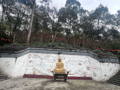 -大金鹰园