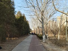 -绿岛公园(滨海新区)