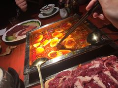 -二荆条·蜀鲜汇城市森林火锅