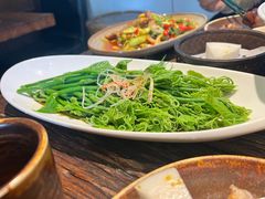 丝瓜尖-懒人盐府人家·自贡大麻鱼(安贞店)