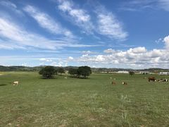 -塞罕坝国家级自然保护区