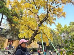 -无锡惠山寺