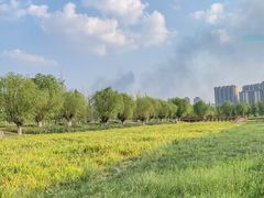 -汉长安城未央宫国家考古遗址公园