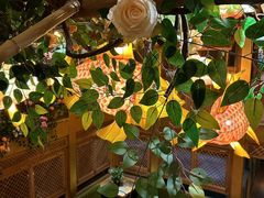 -向川南·水煮鱼·川菜(和平里店)