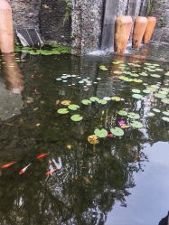 -爱丽馨御景月子中心