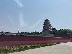 -曲江惠宾苑宾馆(大雁塔大唐不夜城店)