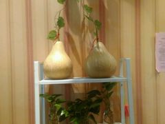 -19号私房菜(云南路店)