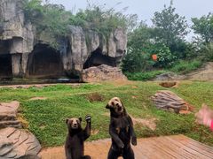 -海南热带野生动植物园