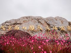 -北京西山国家森林公园