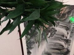 -春信茶舍(丽泽景园店)