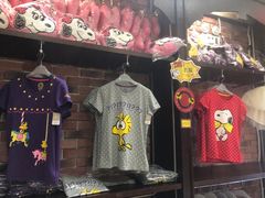 -史努比缤纷世界