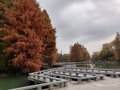 -白塘生态植物园