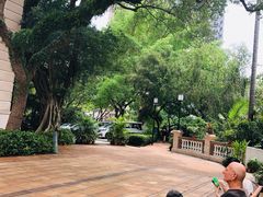 -香港大学