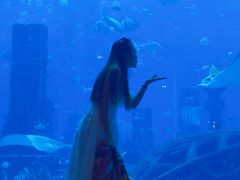 -迪拜帆船酒店海底餐厅