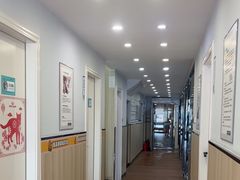 -瑞派紫金宠物医院24小时·骨科·中兽医·重症转诊中心(番禺大石院)