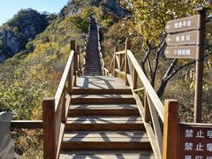 -大岭沟猕猴桃谷风景区