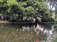 -成都市活水公园