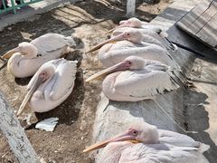 -水上乐园·欢乐世界