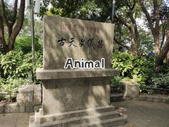-紫金山天文台