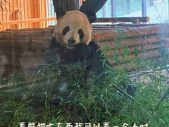 -云南野生动物园