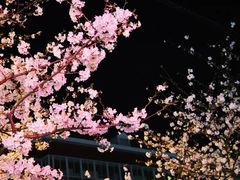 -永乐路-路侧停车场