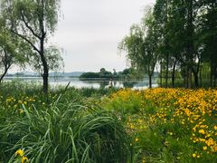 -渤公岛生态公园