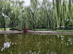 -玲珑塔公园