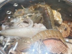 -大锅强·蒸海鲜青岛菜(吾悦广场店)