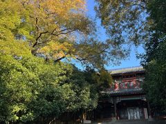 -灵谷景区