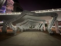 -演武大桥观景平台