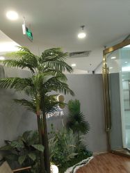 -八佰伴8008星级形象店