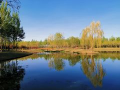 -东郊湿地公园