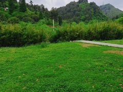 -阿哈湖国家湿地公园