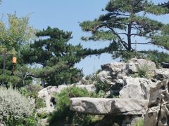 -南阳卧龙岗武侯祠