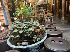 -普洱茶府(博乐广场店)