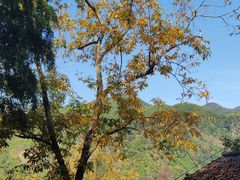 -藏龙百瀑风景区