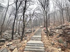 -泰山风景名胜区