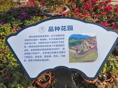-东莞植物园