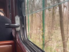 -合肥滨湖国家森林公园