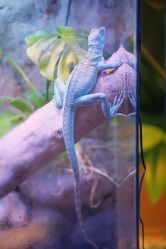 -酷嗒动物文化乐园(cutezoo西溪乐天城店)