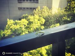 -中国浦东干部学院