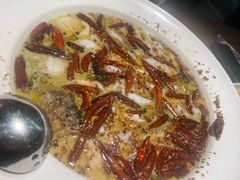 -首秀·四川料理(星耀101店)